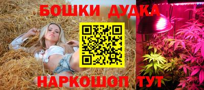 герыч Дубна